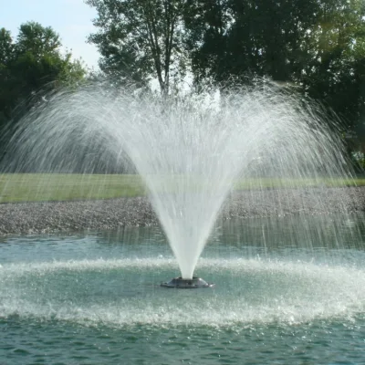 Offerta di fabbrica Fontana danzante per acqua da giardino di grandi dimensioni programmata moderna all'aperto